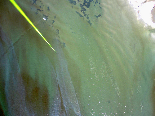 Oil at Chandeleur islands, as seen from a balloon