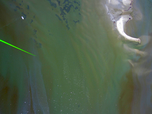 Oil off Chandeleur islands as imaged from a balloon